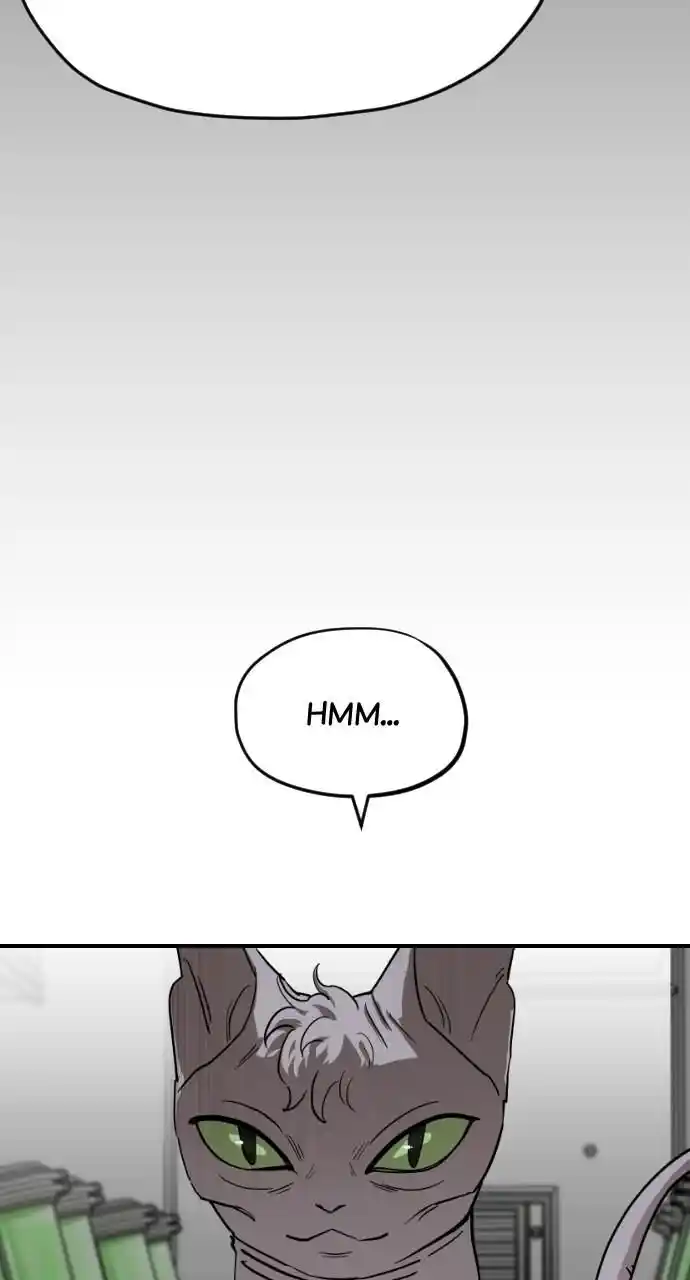 Zipsa Rangers Ch.062