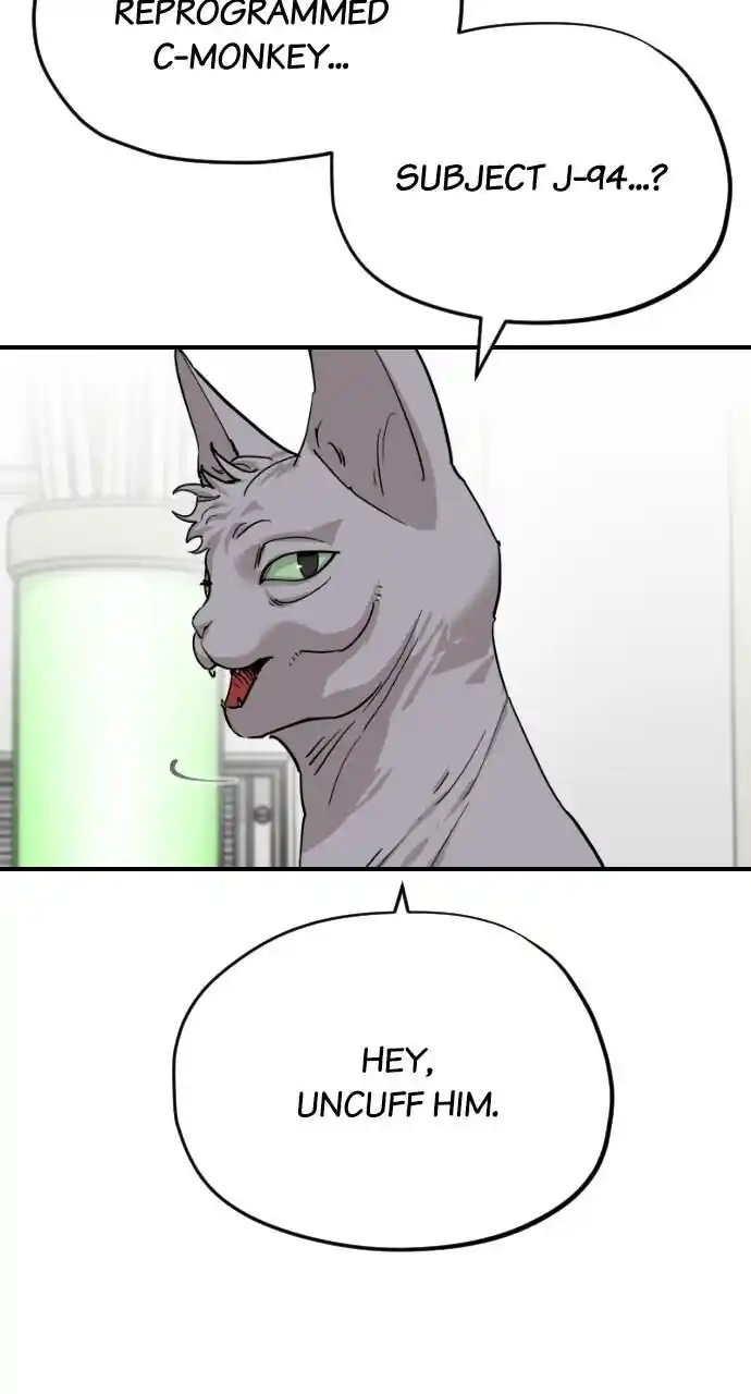 Zipsa Rangers Ch.062