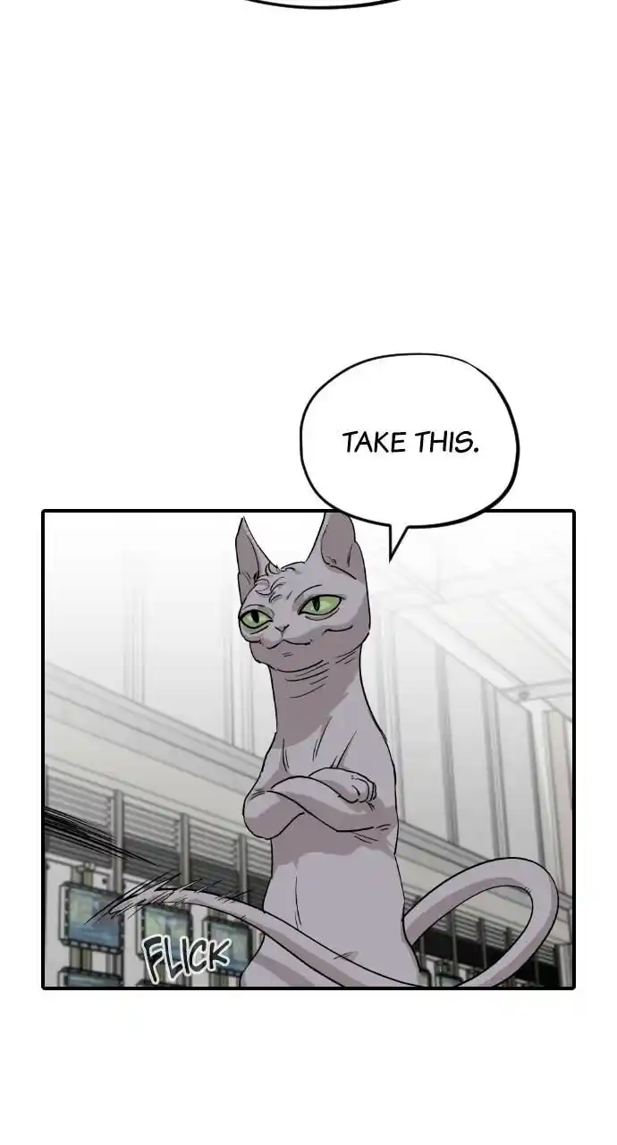 Zipsa Rangers Ch.062