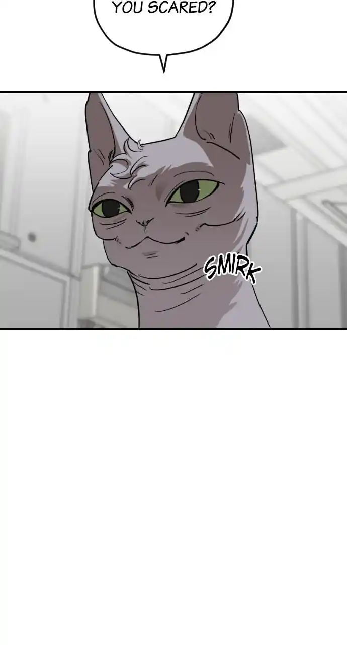 Zipsa Rangers Ch.062