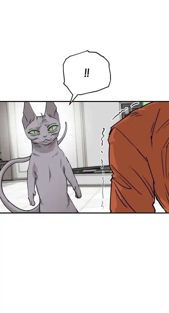 Zipsa Rangers Ch.062