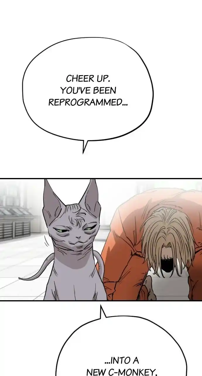 Zipsa Rangers Ch.063