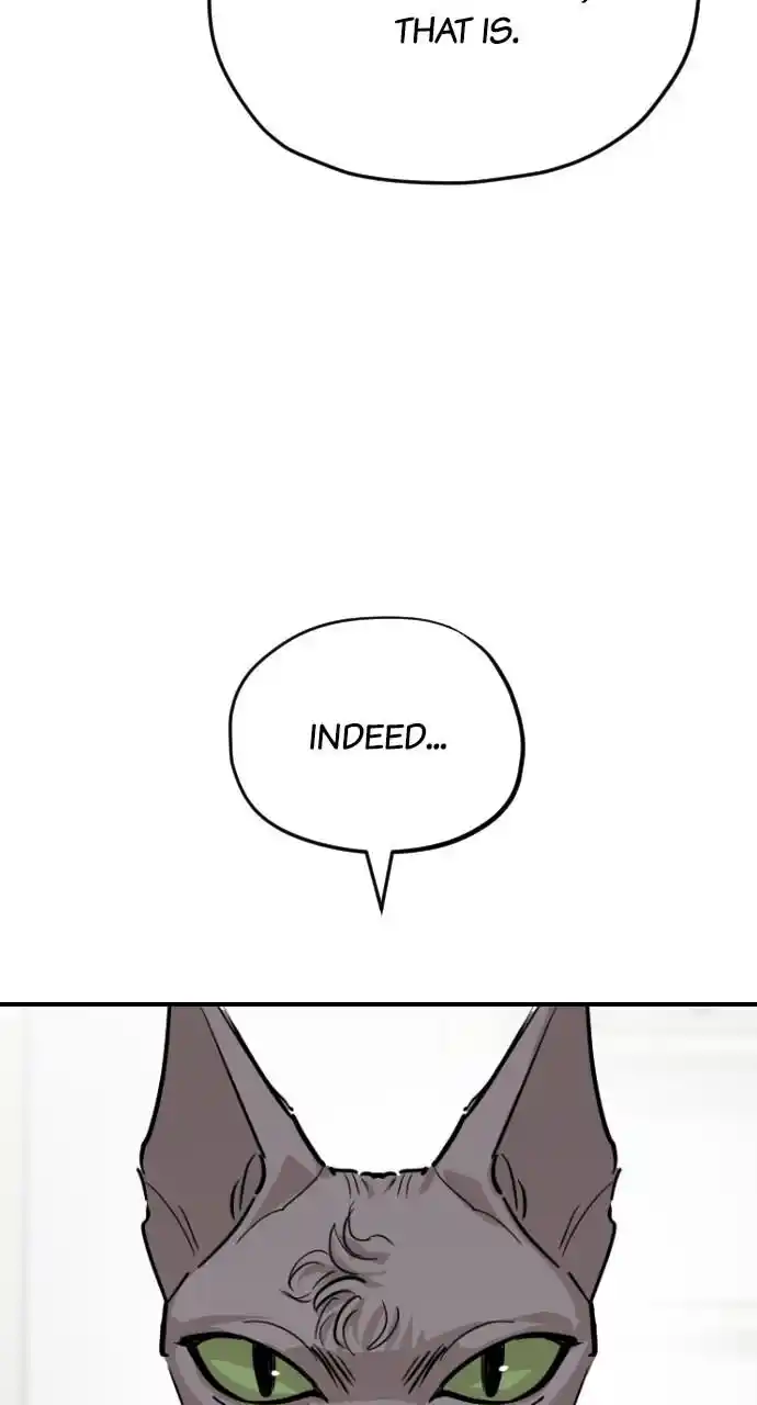 Zipsa Rangers Ch.063