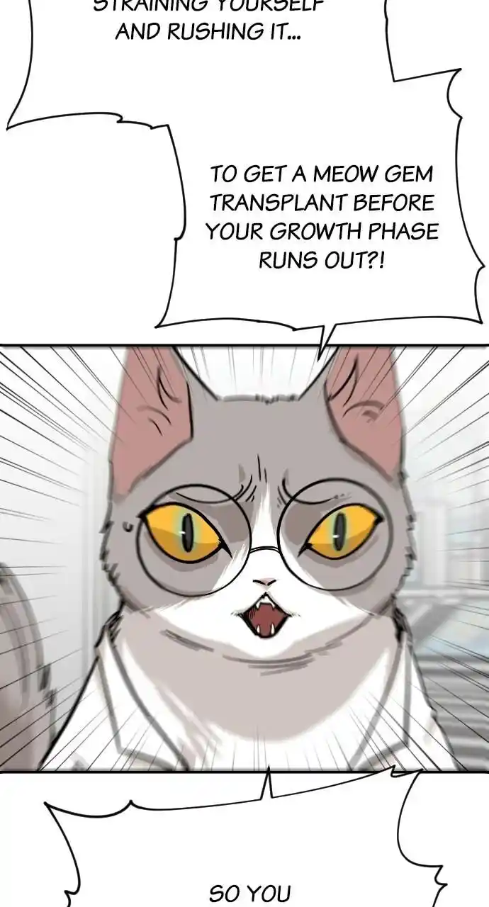 Zipsa Rangers Ch.063