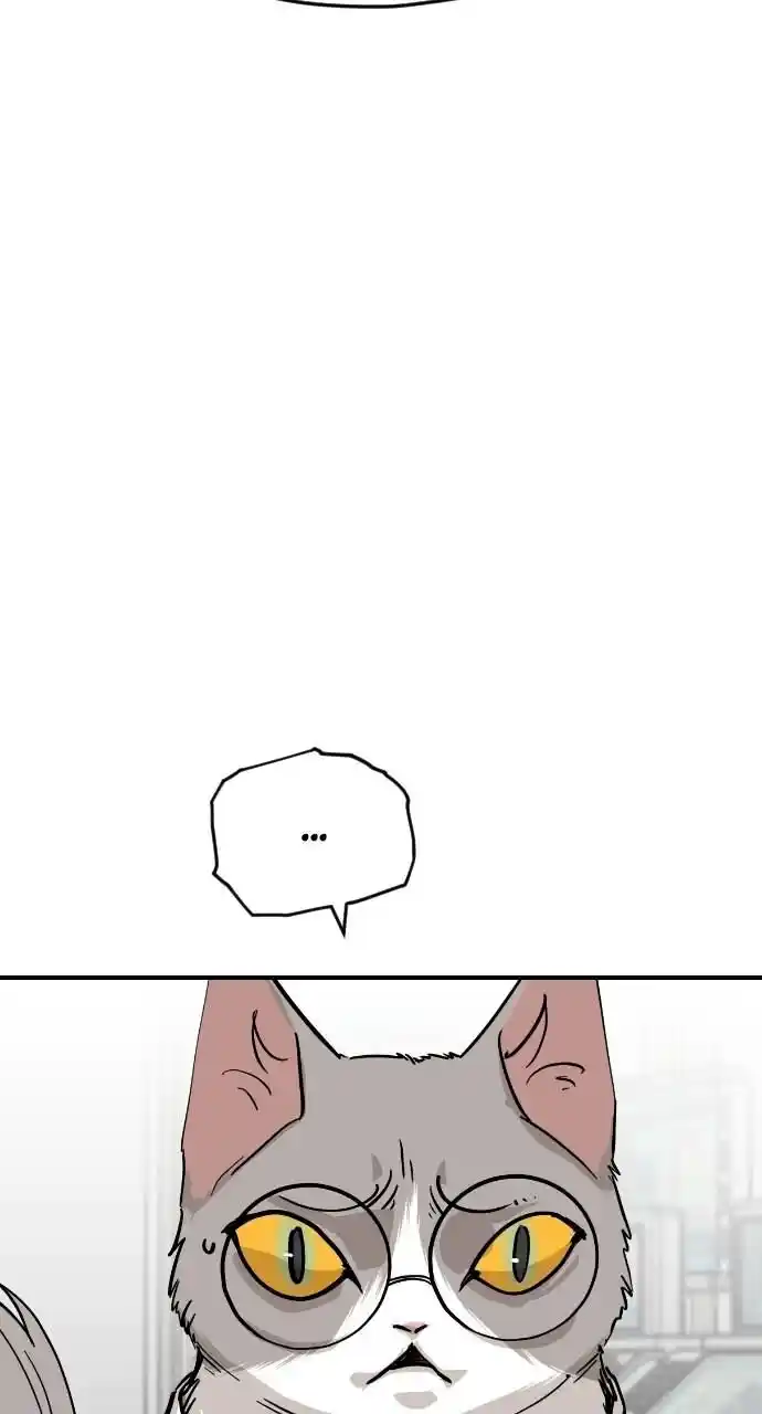 Zipsa Rangers Ch.063