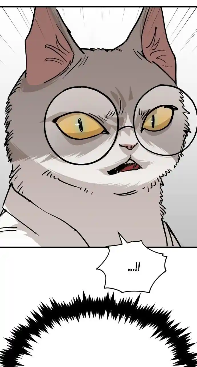 Zipsa Rangers Ch.063