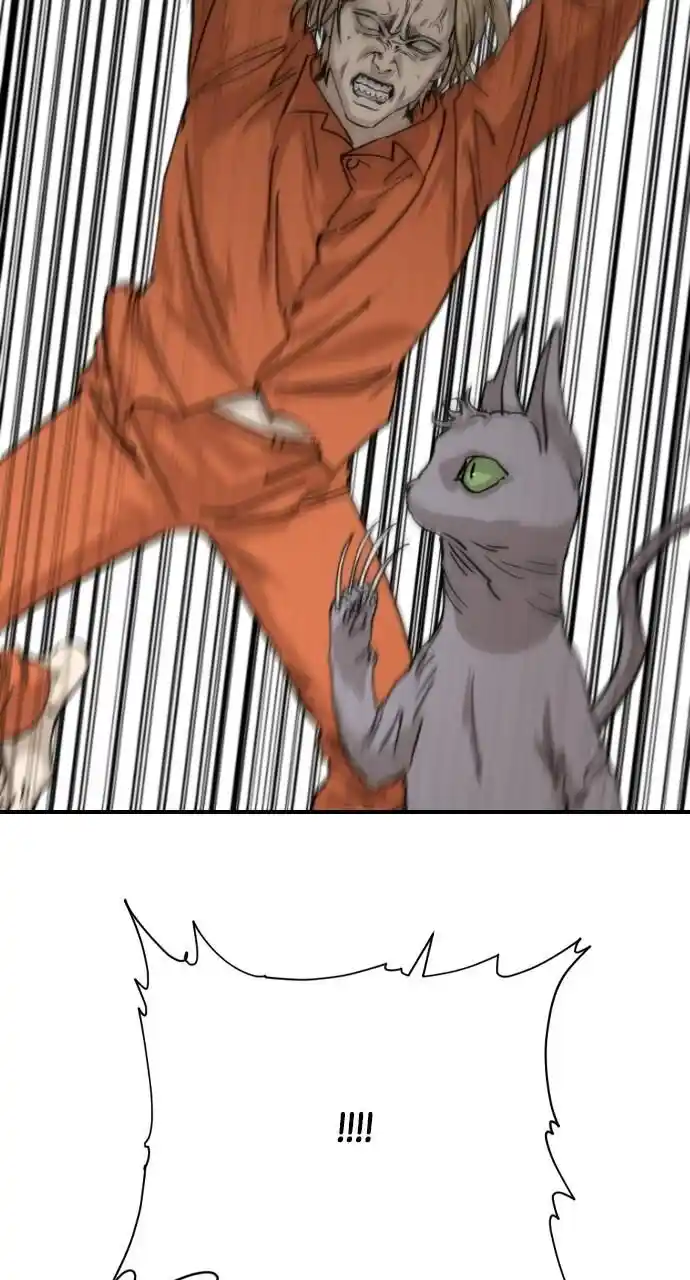 Zipsa Rangers Ch.063