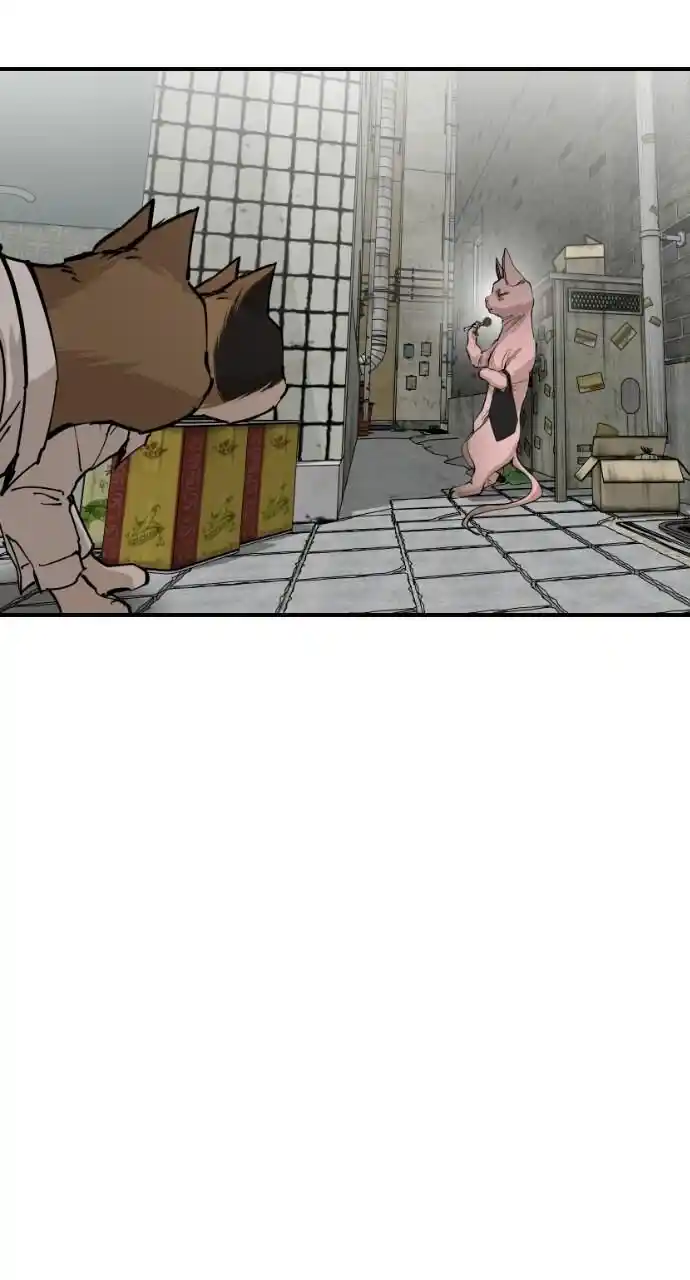 Zipsa Rangers Ch.063