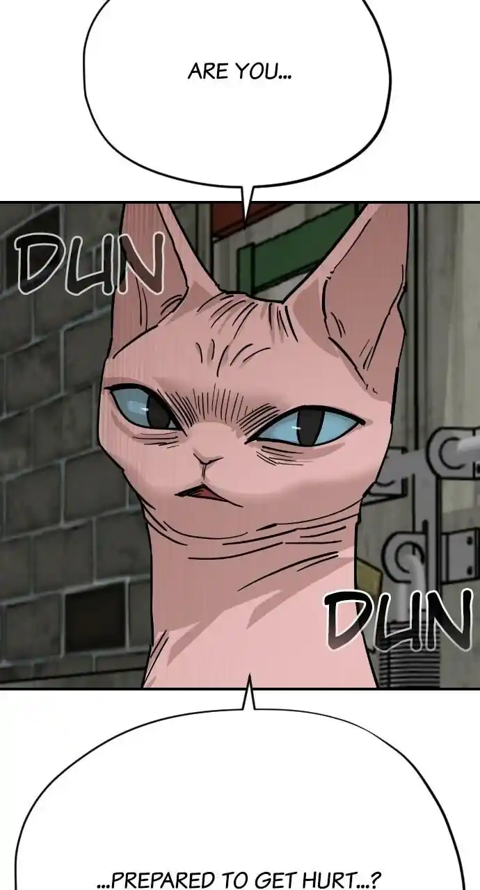 Zipsa Rangers Ch.063