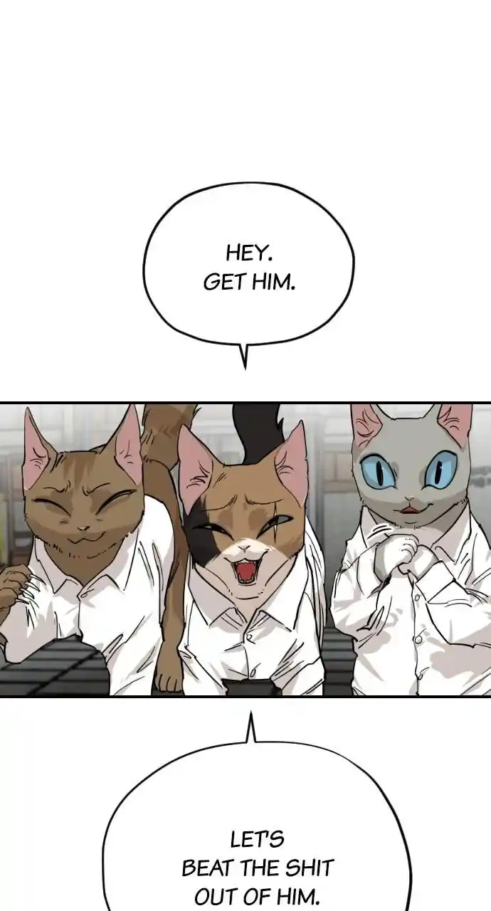 Zipsa Rangers Ch.063