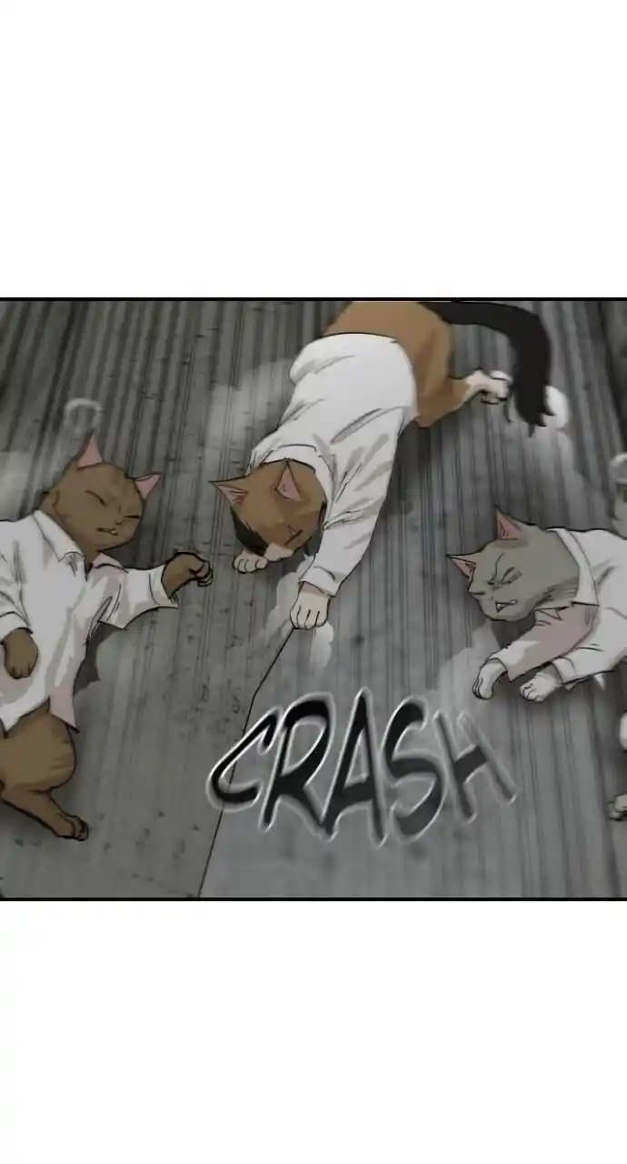 Zipsa Rangers Ch.063