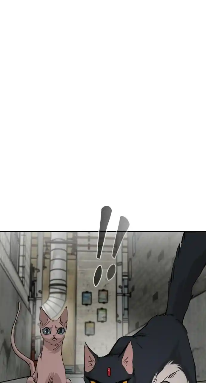 Zipsa Rangers Ch.063