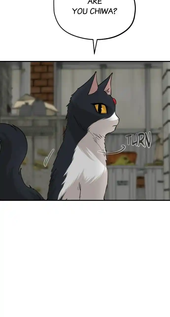 Zipsa Rangers Ch.063