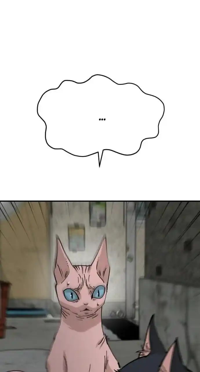 Zipsa Rangers Ch.063