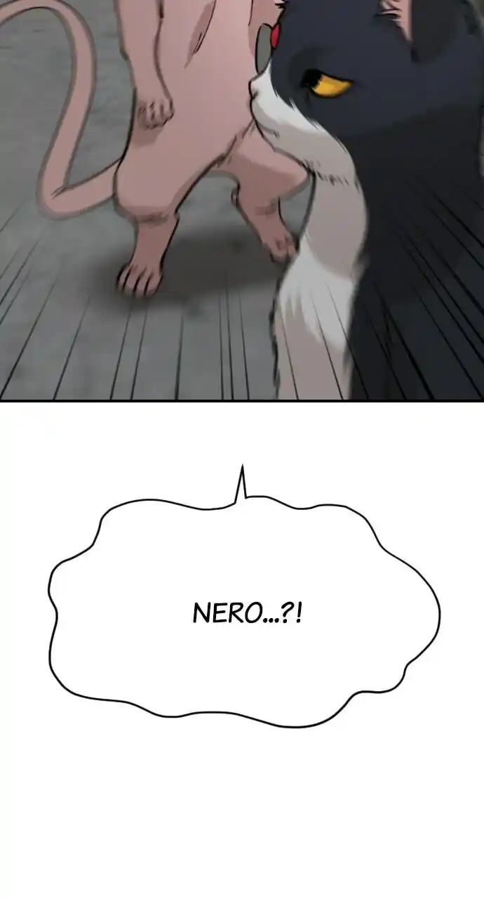 Zipsa Rangers Ch.063