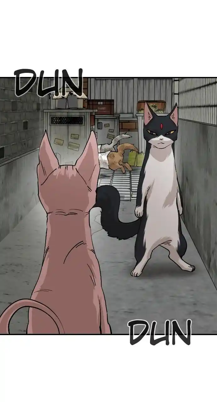 Zipsa Rangers Ch.064