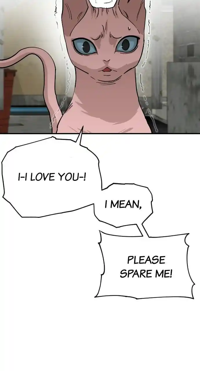 Zipsa Rangers Ch.064