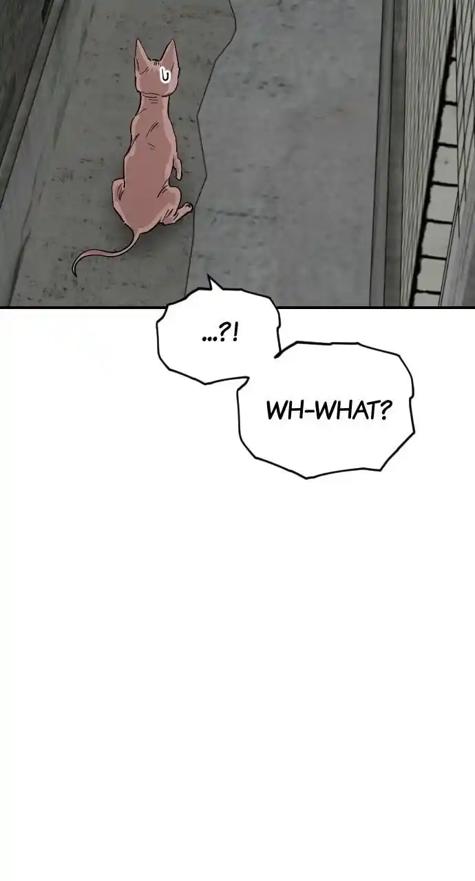 Zipsa Rangers Ch.064