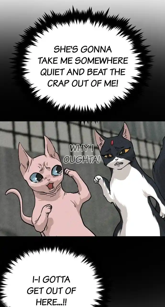 Zipsa Rangers Ch.064