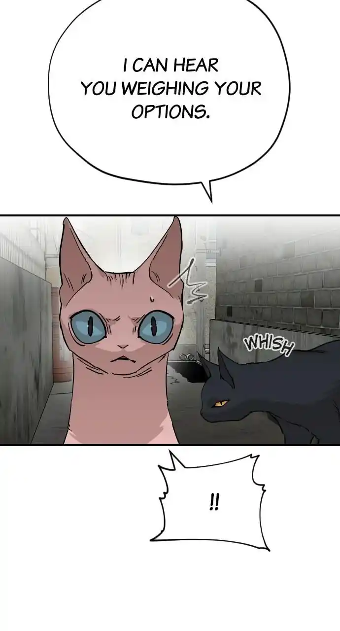 Zipsa Rangers Ch.064