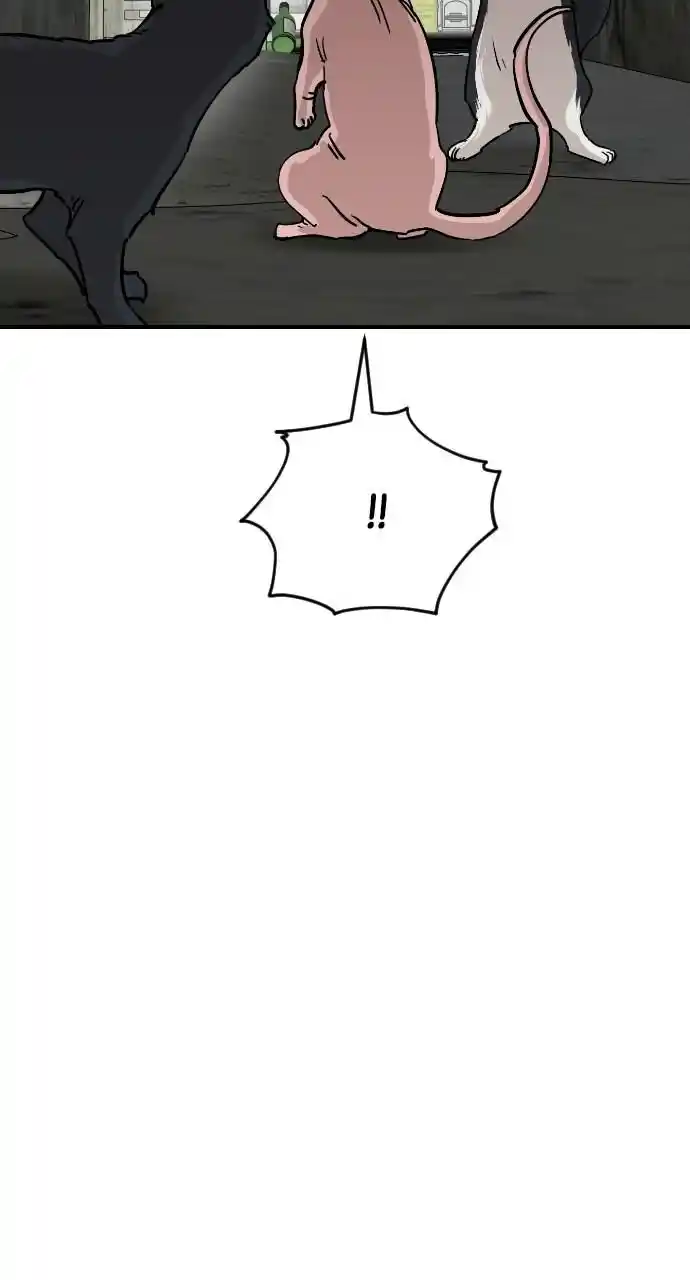 Zipsa Rangers Ch.064