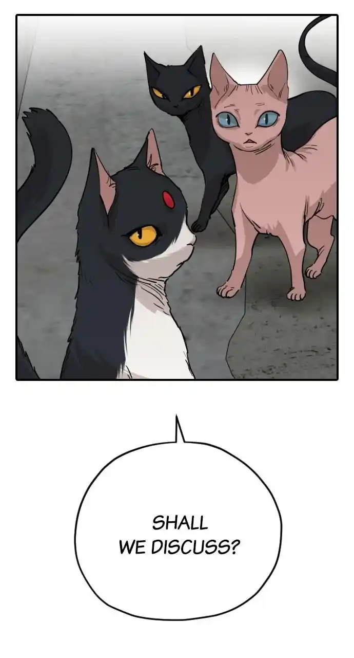 Zipsa Rangers Ch.064