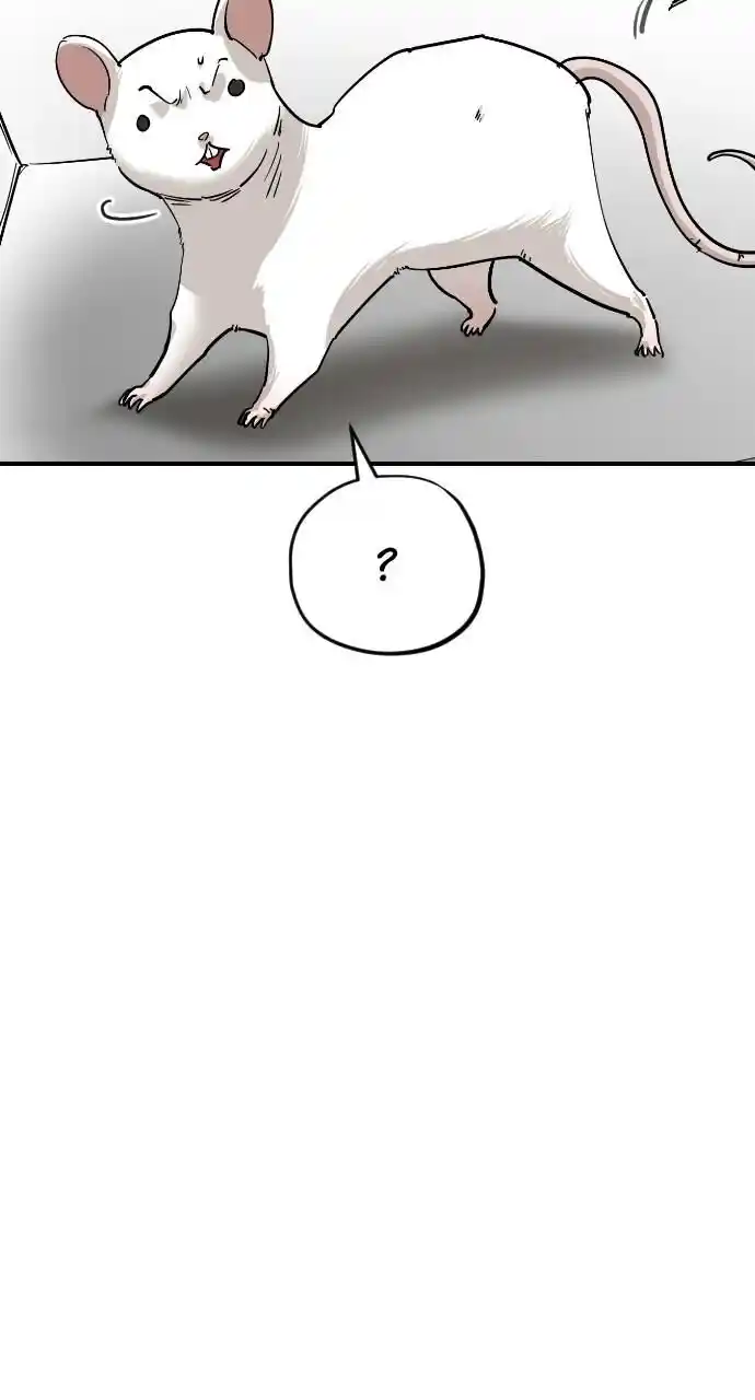 Zipsa Rangers Ch.065