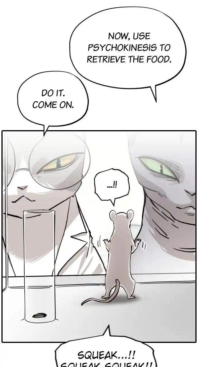 Zipsa Rangers Ch.065