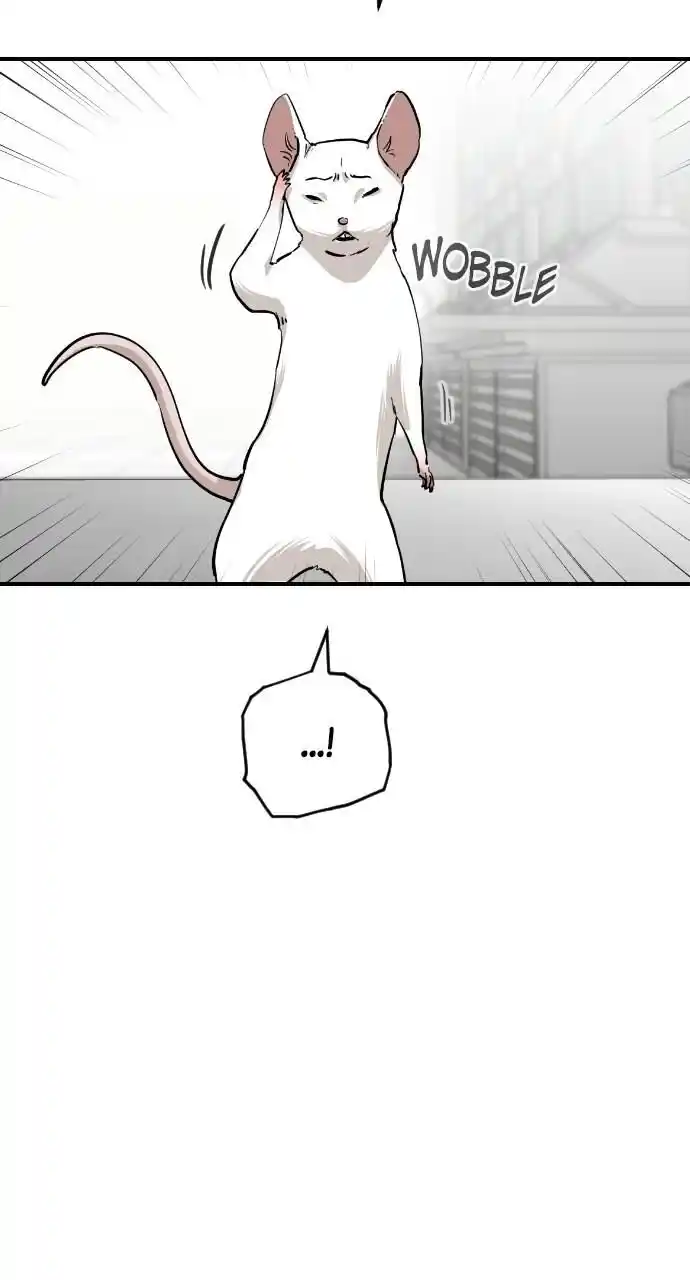 Zipsa Rangers Ch.065