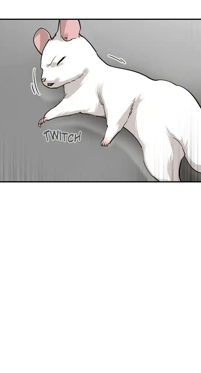 Zipsa Rangers Ch.065