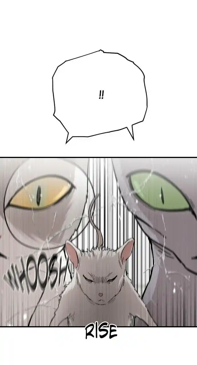 Zipsa Rangers Ch.065