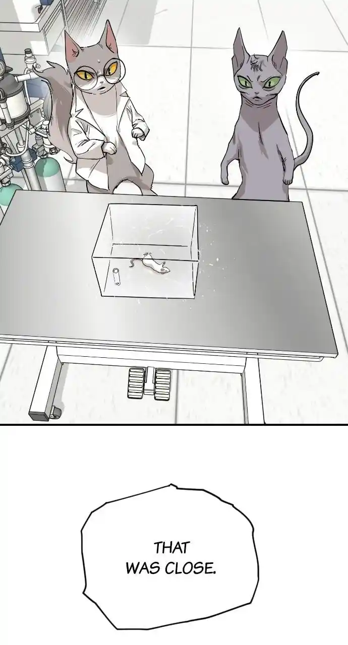 Zipsa Rangers Ch.065