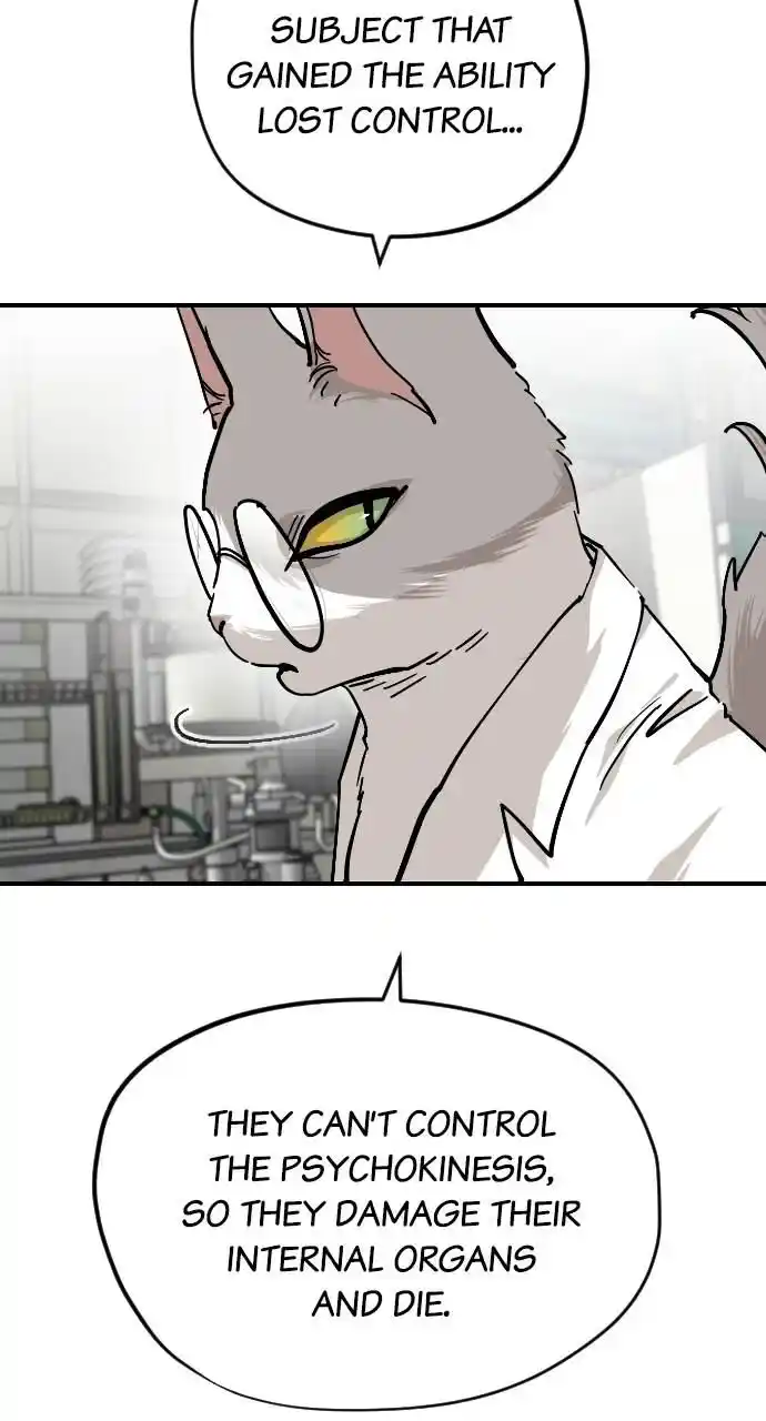 Zipsa Rangers Ch.065