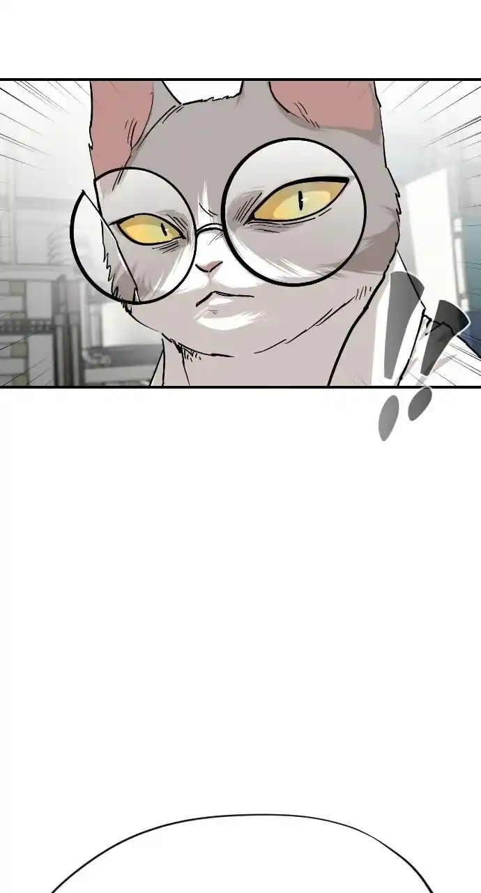 Zipsa Rangers Ch.065