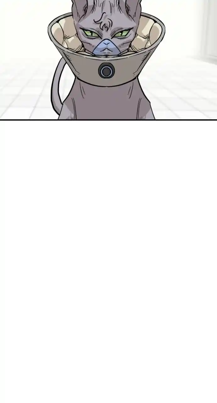 Zipsa Rangers Ch.066