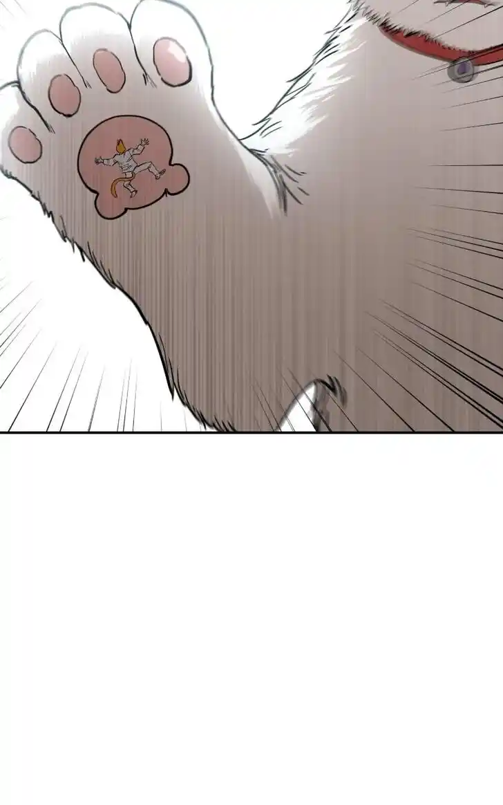 Zipsa Rangers Ch.068