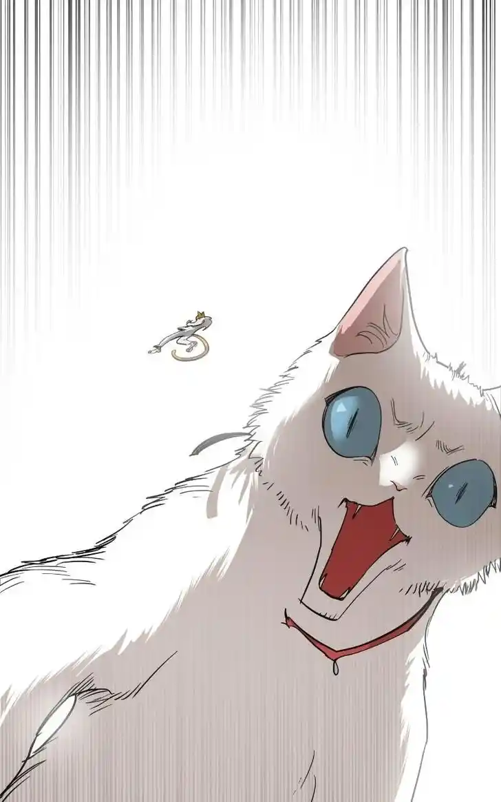 Zipsa Rangers Ch.068