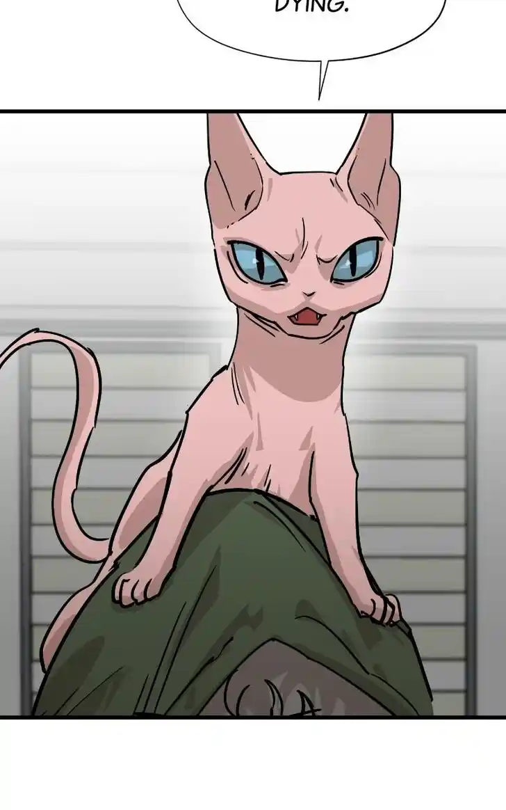 Zipsa Rangers Ch.069