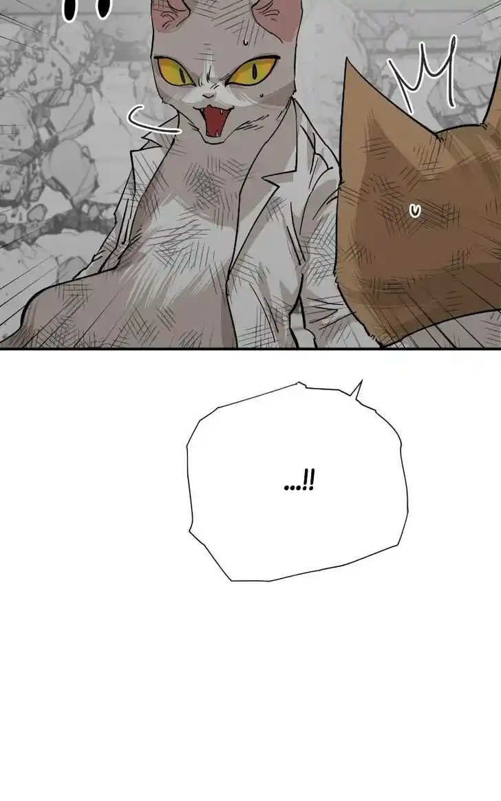 Zipsa Rangers Ch.070