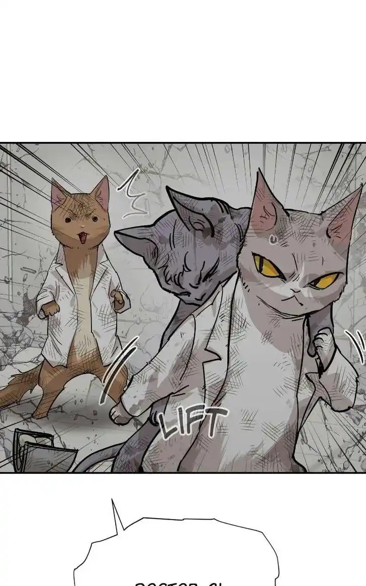 Zipsa Rangers Ch.070