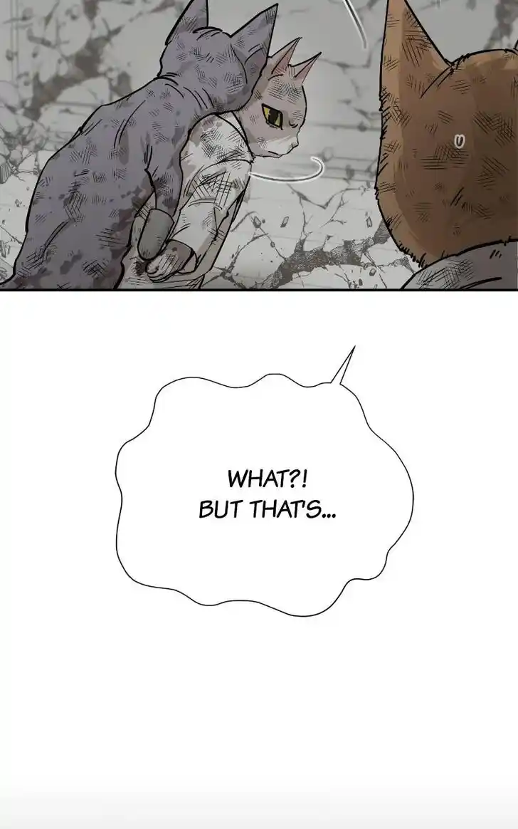 Zipsa Rangers Ch.070