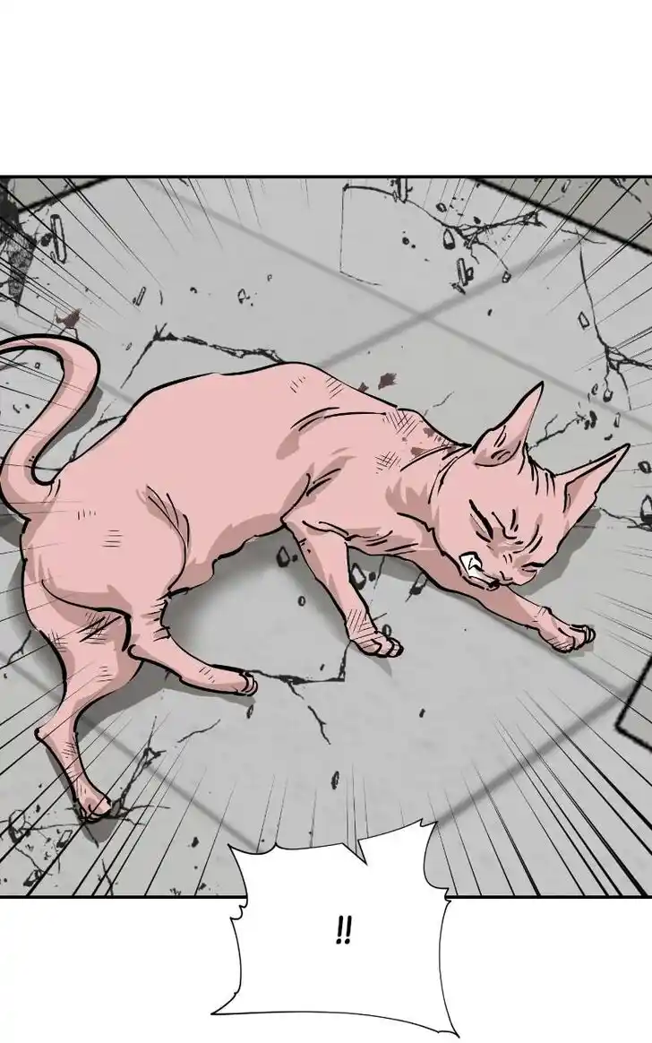 Zipsa Rangers Ch.071