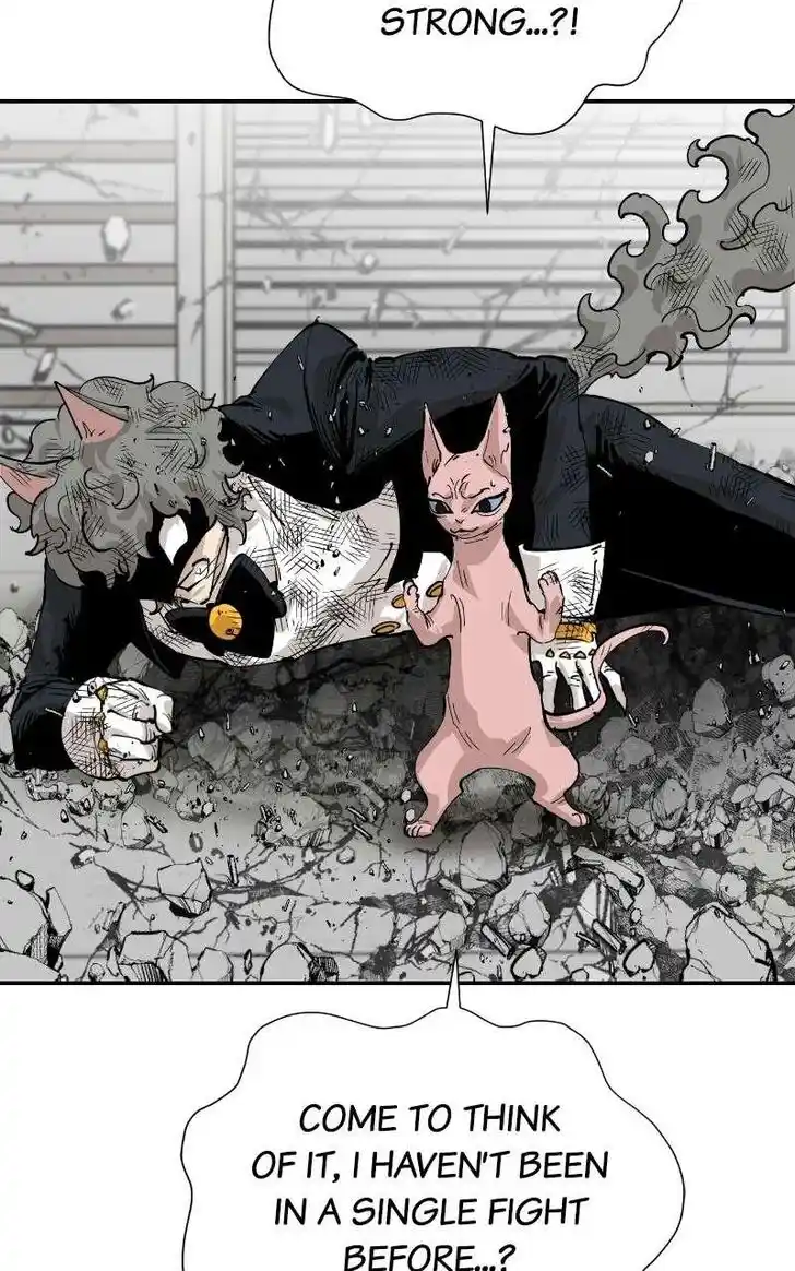 Zipsa Rangers Ch.071