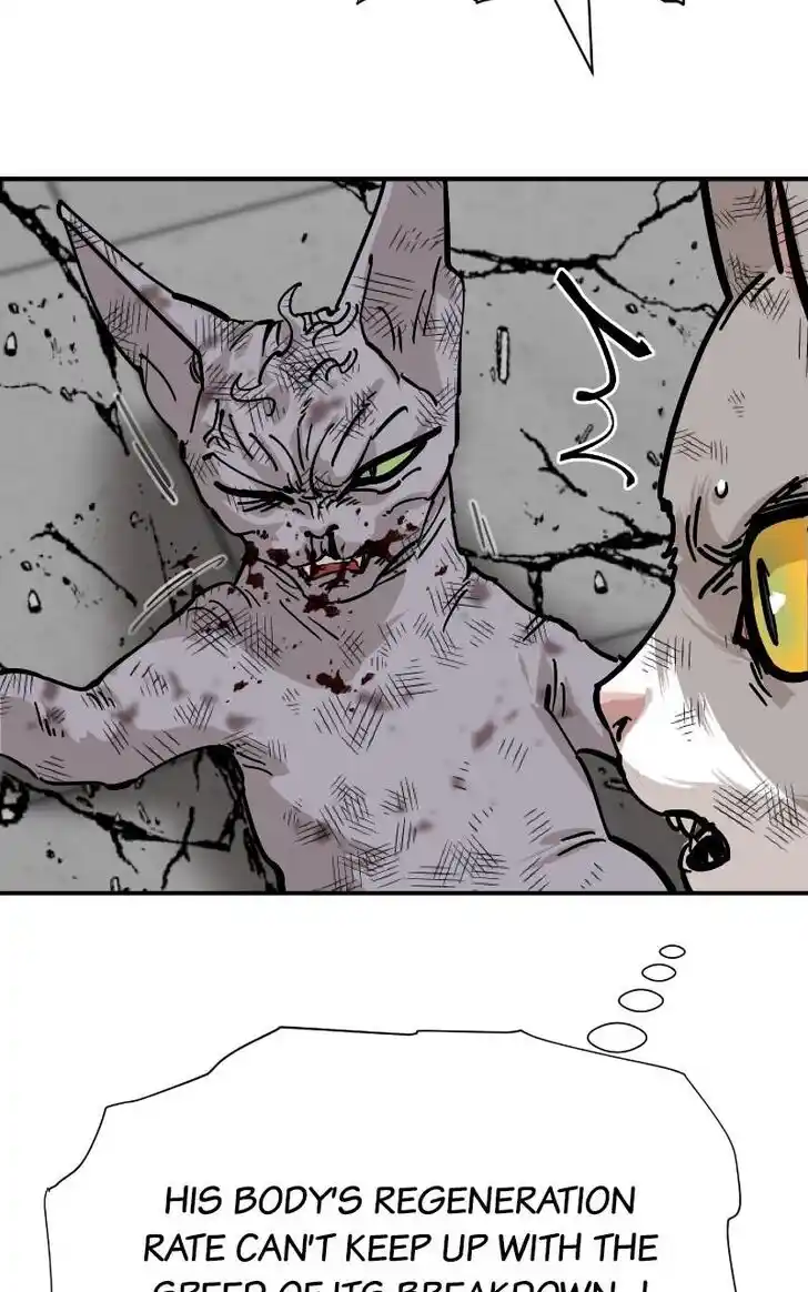 Zipsa Rangers Ch.073