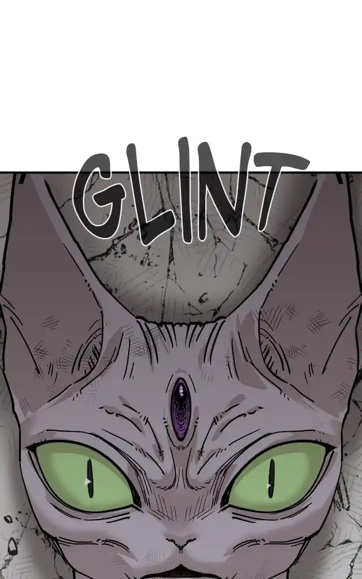 Zipsa Rangers Ch.077