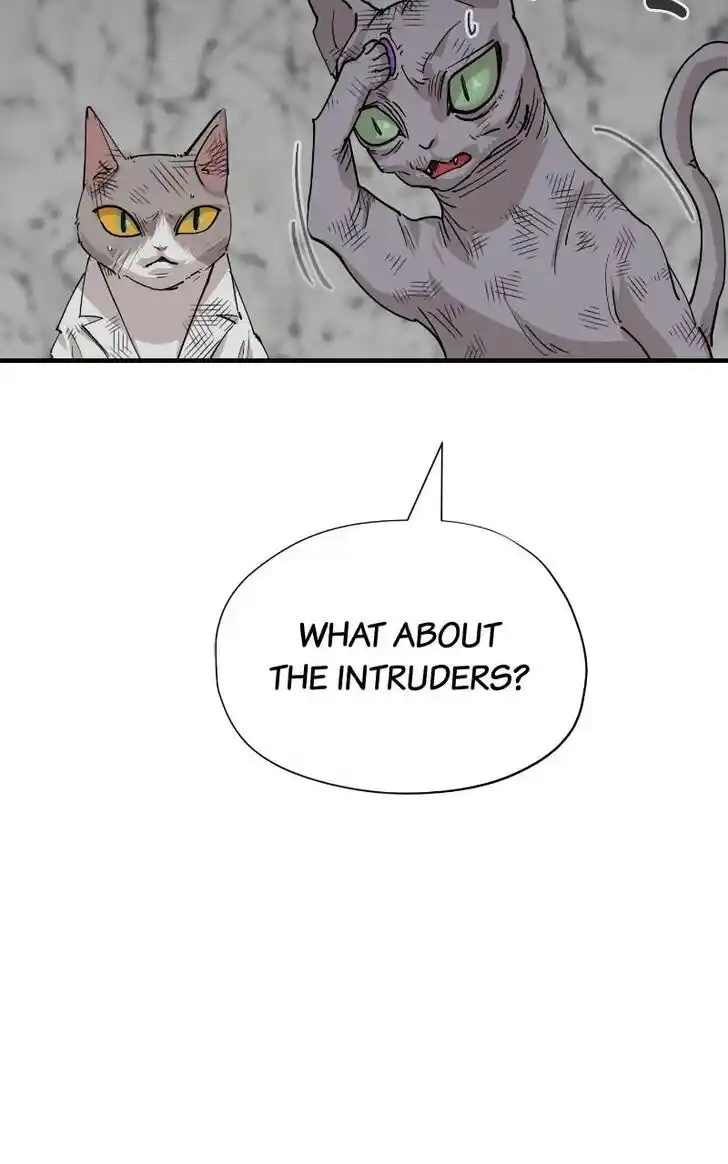 Zipsa Rangers Ch.077