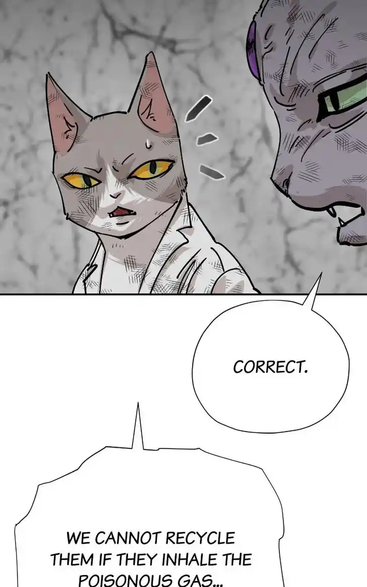 Zipsa Rangers Ch.077