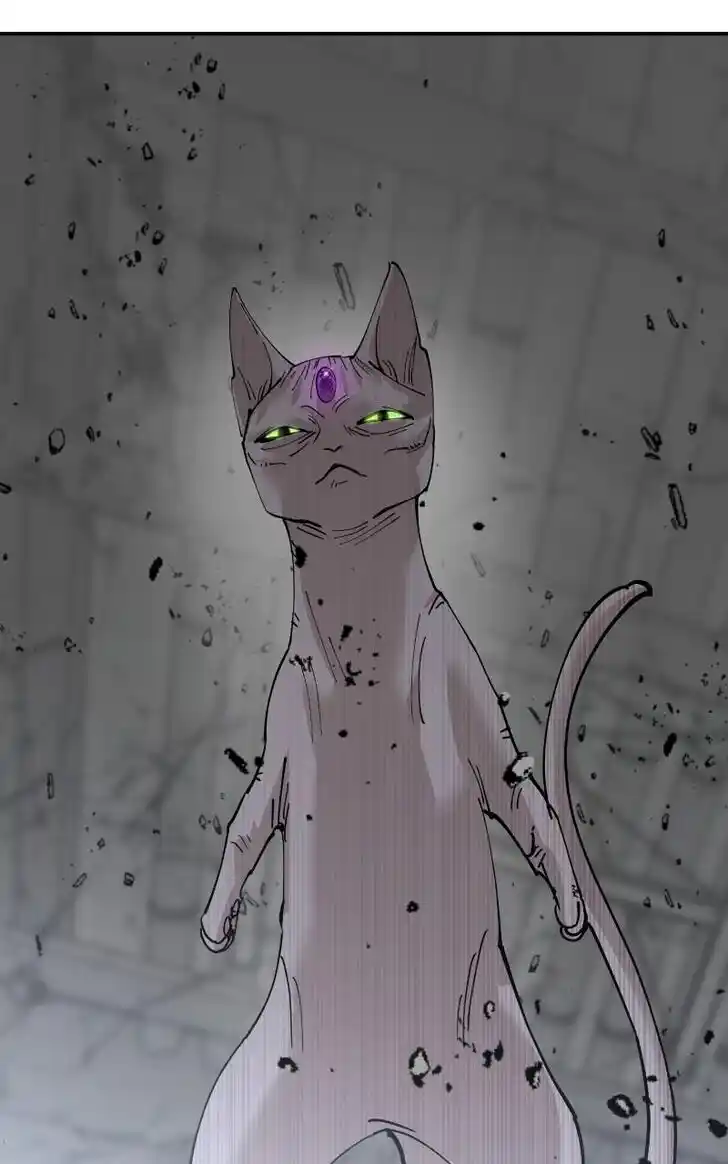 Zipsa Rangers Ch.077