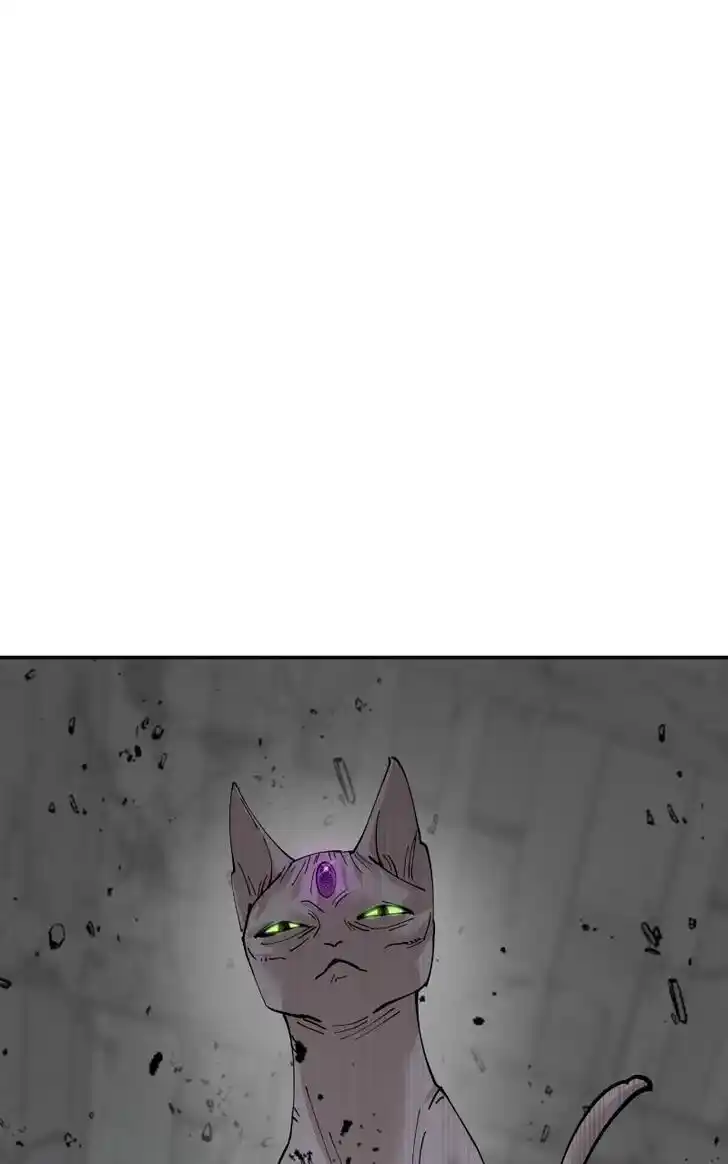 Zipsa Rangers Ch.078