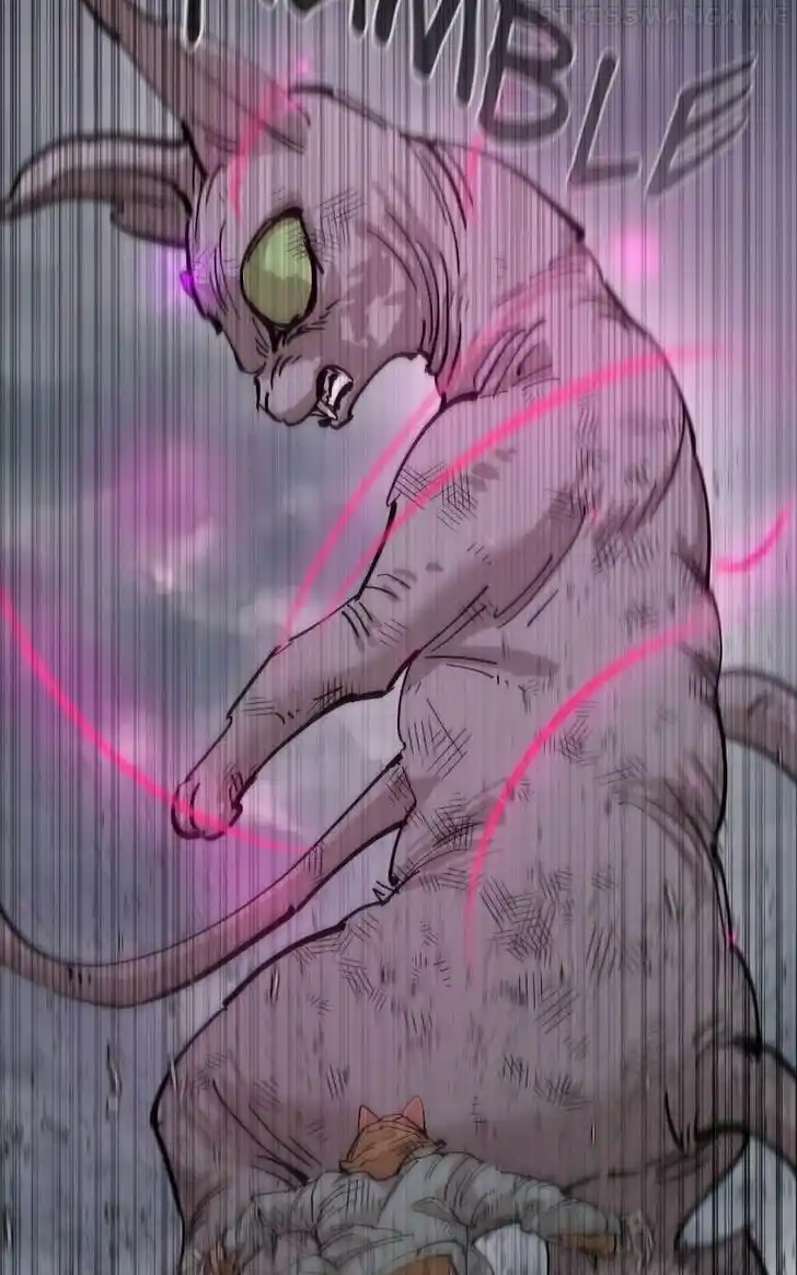 Zipsa Rangers Ch.080